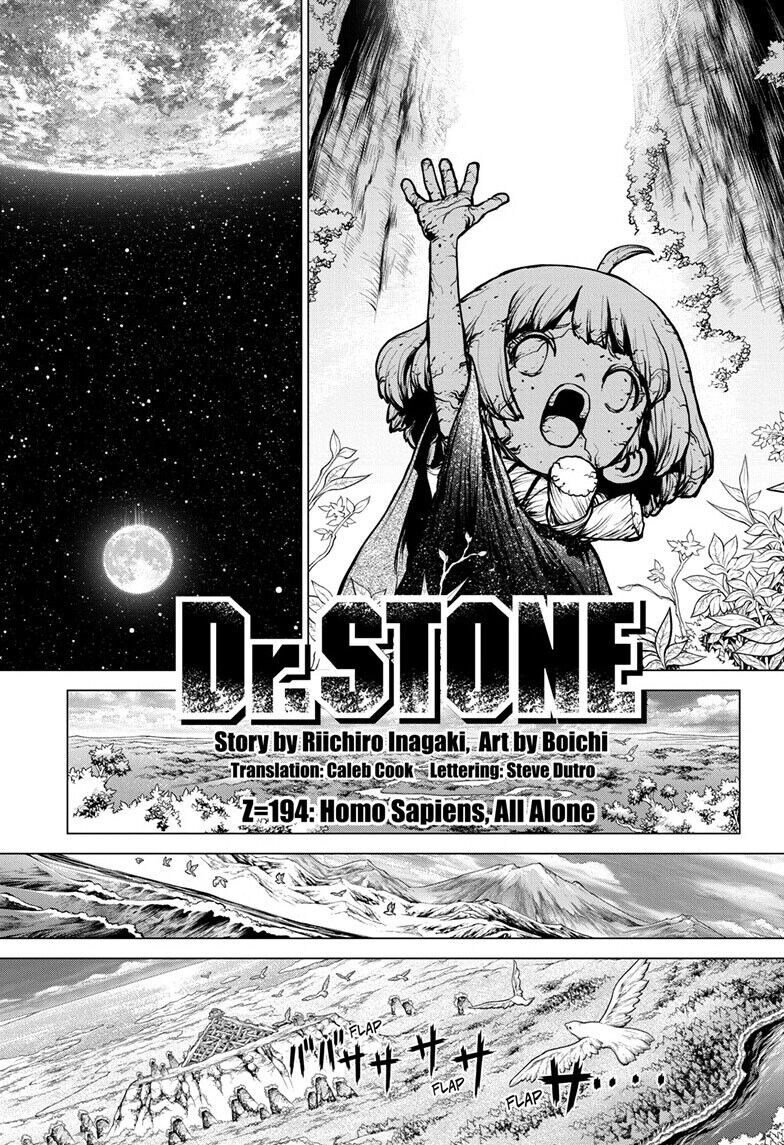 Read Dr. Stone EN Manga Online
