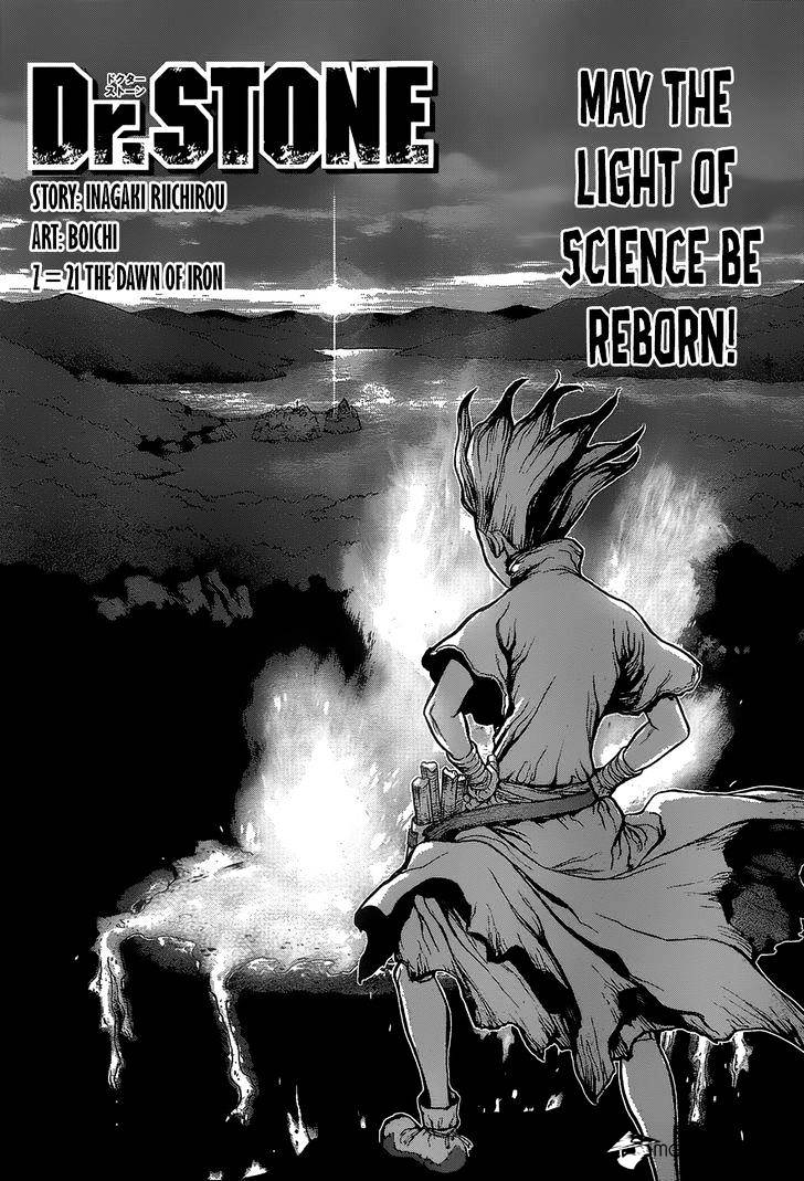 Read Dr. Stone EN Manga Online