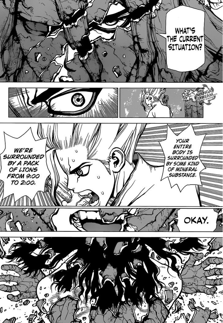 Read Dr. Stone EN Manga Online