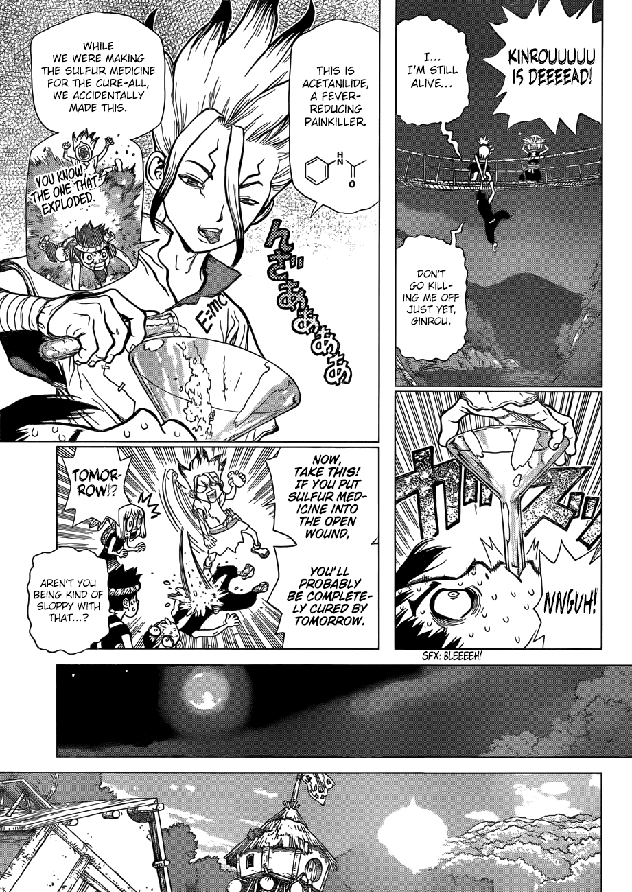 Read Dr. Stone EN Manga Online