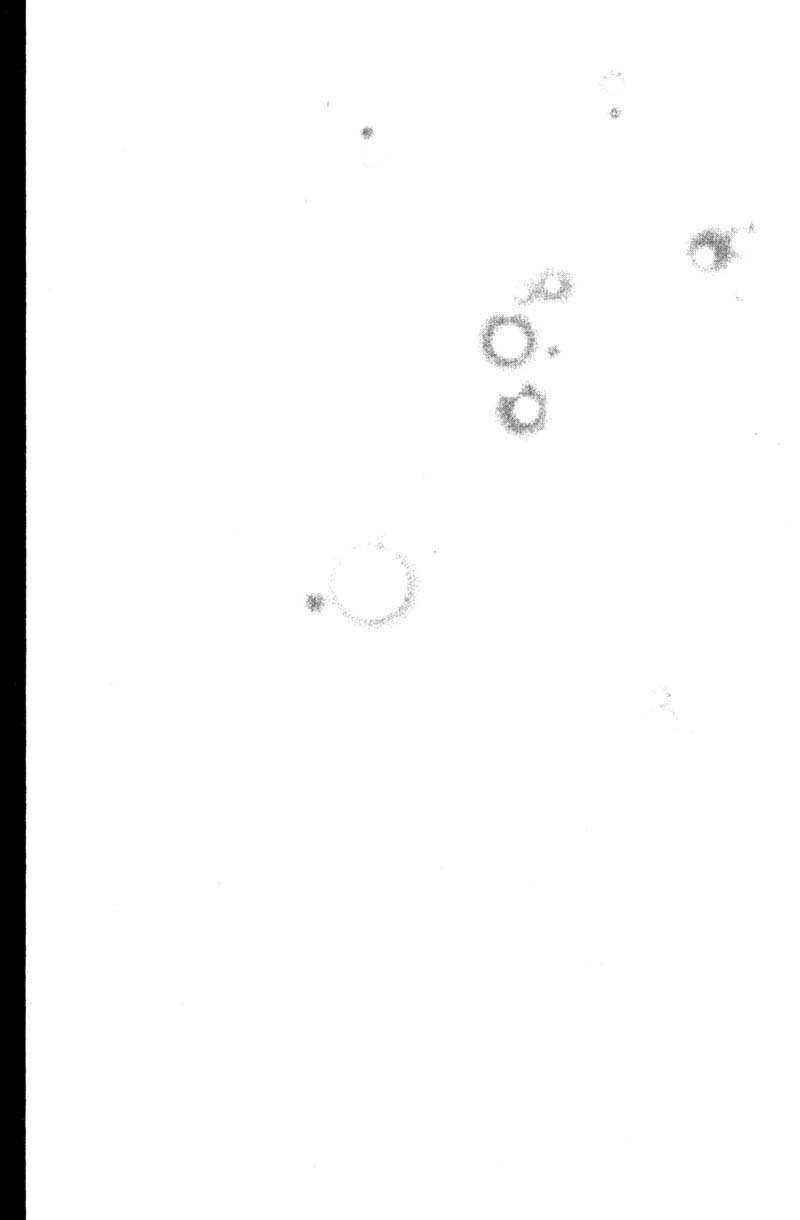 Read Gto EN Manga Online