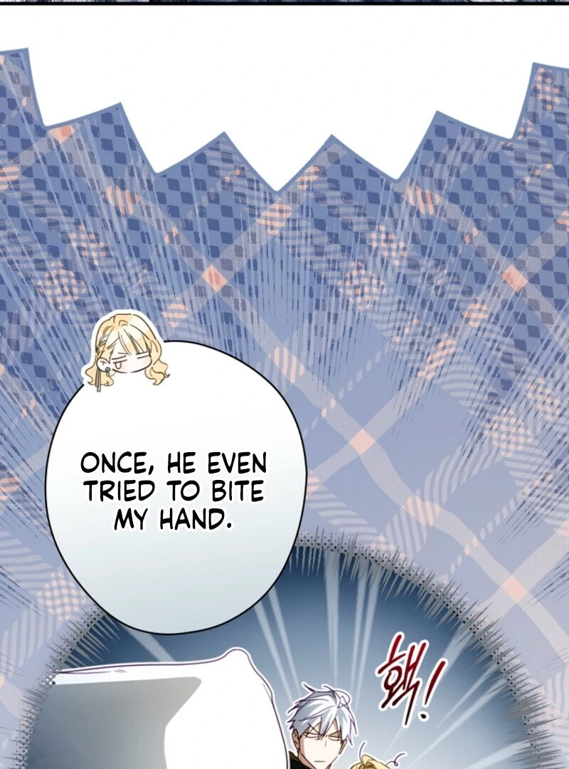 Read How to Get My Husband on My Side EN Manga Online