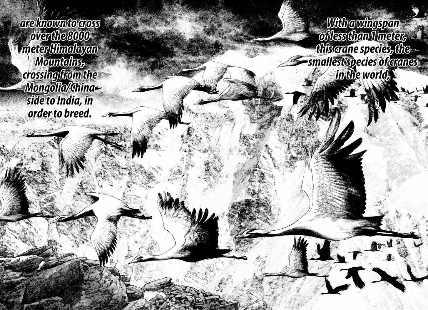 Read Kokou No Hito EN Manga Online