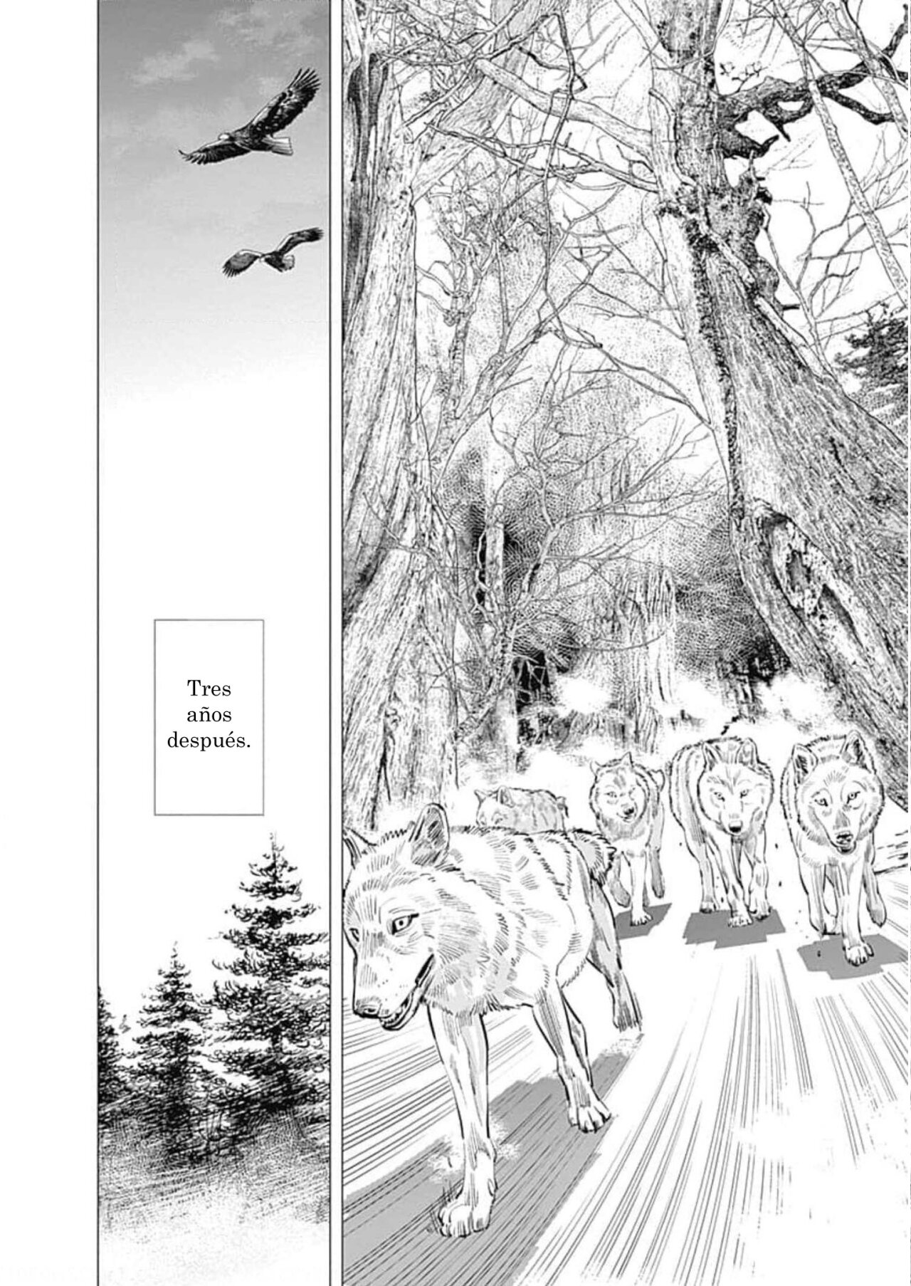 Read Golden Kamuy ES Manga Online