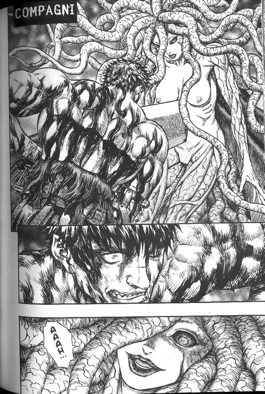 Read Berserk IT Manga Online